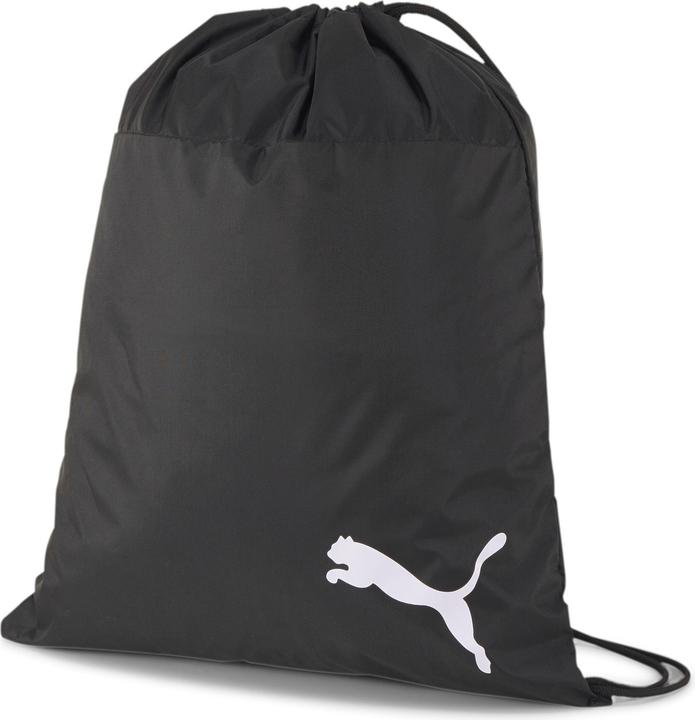 Actual product image Puma teamGOAL 23 Gym Sack-076853 (111 l)