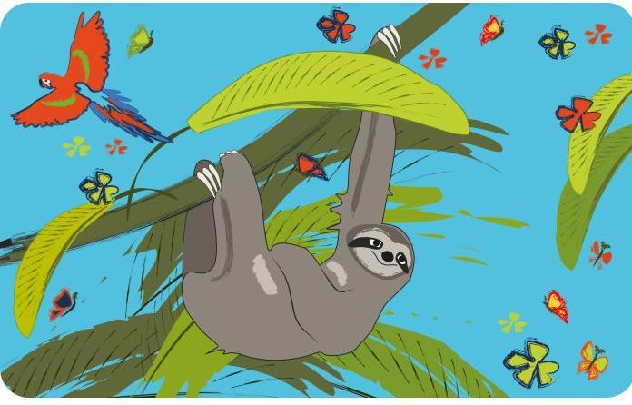 Actual product image WMF Sloth