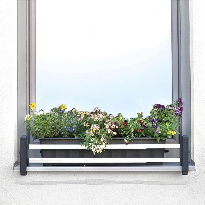 Immagine prodotto ‎Green Creations Porta fioriera