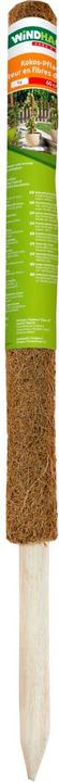 Actual product image Windhager Plant stick coconut (80 cm, 4.50 cm)