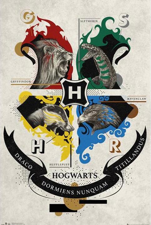 Produktbild Poster Hogwarts Häuser (61 x 91 cm)