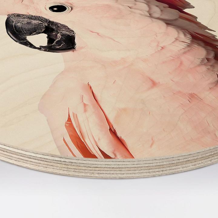 Image du produit Trenddeko Cacatoès rose (Rond)