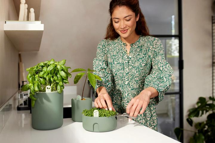 Image du produit Elho Magic Microgreens (16.80 cm)