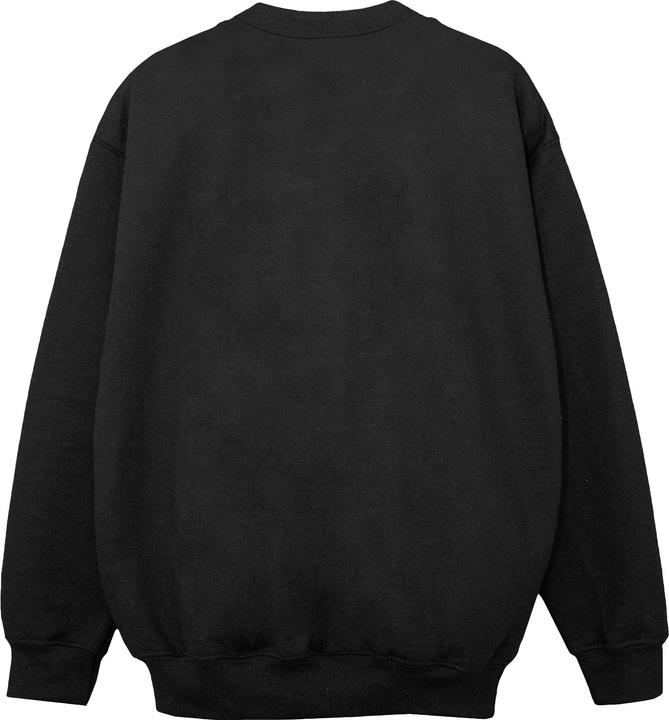 Actual product image Disney Girls Encanto Animal Magnet Sweatshirt (152, 158)