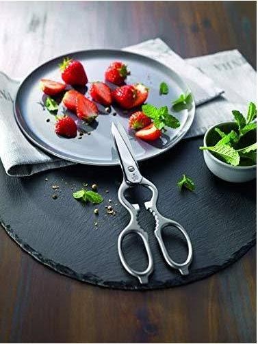 Image du produit Zwilling Cisailles à usages multiples (20 cm)