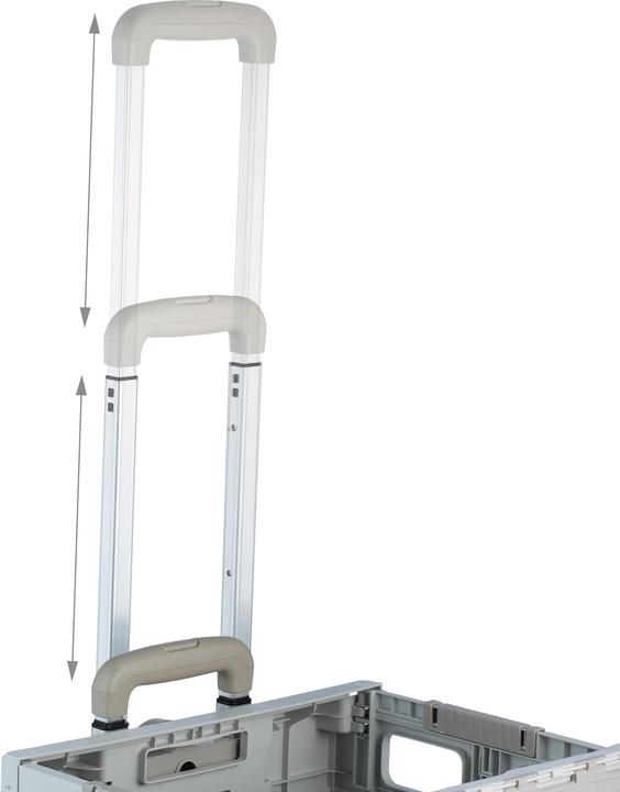 Immagine prodotto Relaxdays Carrello spesa
