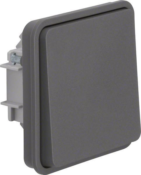 Produktbild Berker 6130763515. Steuerung: Knöpfe, Produktfarbe: Grau, Nennstrom: 10 A. Menge pro Packung: 10 Stück(e)