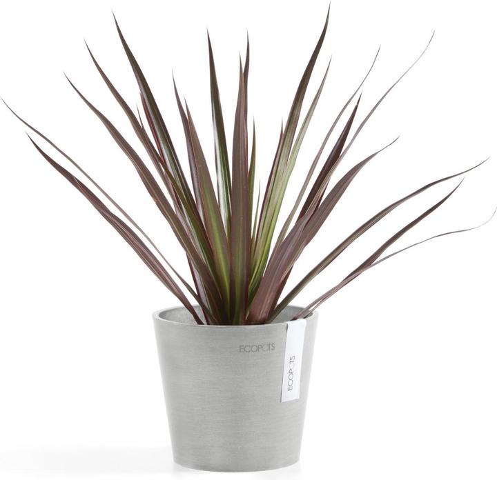 Produktbild Ecopots Amsterdam Mini (13 cm)
