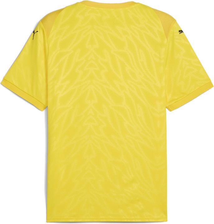 Image du produit Puma teamCUP Jersey (M)
