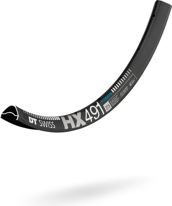 DT Swiss HX 491 (22.99")