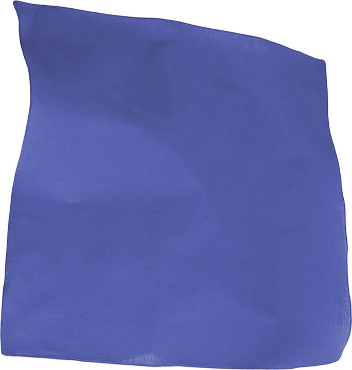 Actual product image Atlantis Goal Bandana