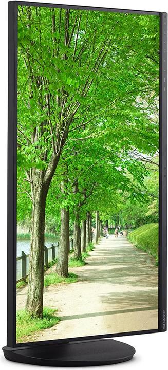 Immagine prodotto Sharp EA272QB 27IN TFT 2560X1440 16:9 (2560 x 1440 pixel, 27")