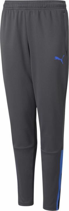 Image du produit Puma pantalon d'entraînement teamLIGA Jr-657243 (140)