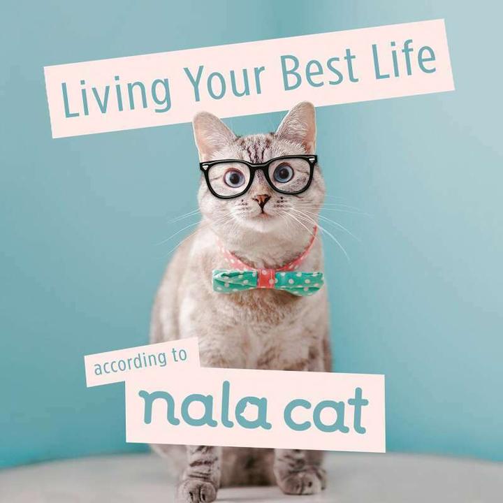 Immagine prodotto Vivi la tua vita migliore secondo Nala Cat (Inglese, Gatto Nala, 2020)