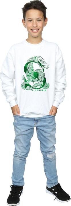 Image du produit - Sweat SLYTHERIN SNAKE - Garçon (128)