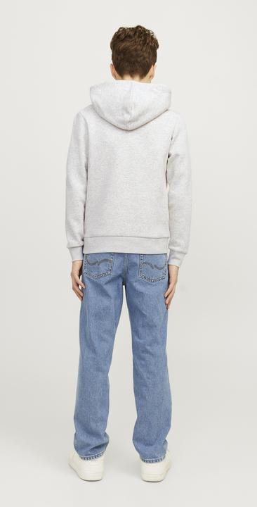 Produktbild Jack & Jones JJELOGO SWEAT HOOD 2 COL 24/25 NOOS JNR (164)