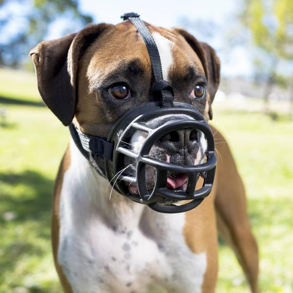 Actual product image Company of Animals Ultra muzzle Baskerville (5, Dog, General)