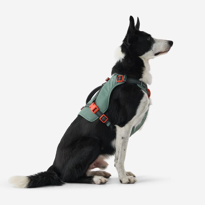 Image du produit Caperlan Harnais de randonnée pour chien (S, Chien)