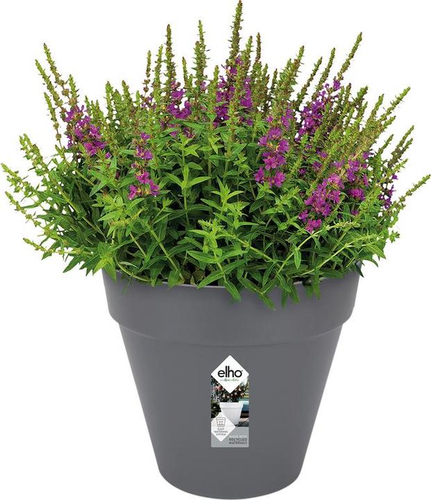 Actual product image Elho Loft Urban (19.30 cm)