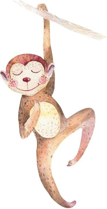 Image du produit Trenddeko Singe suspendu (30 x 60 cm)