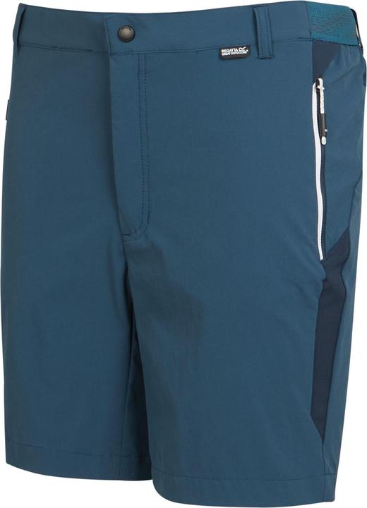 Actual product image Regatta Mens Mountain II Shorts (46 D)