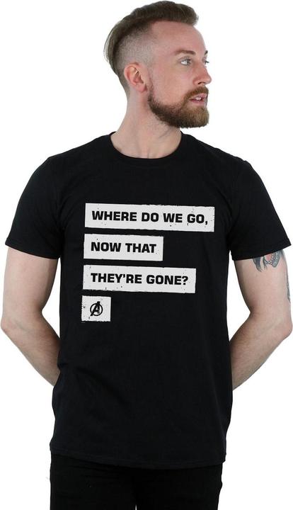 Actual product image Mens Avengers Endgame Where Do We Go T-Shirt (S)