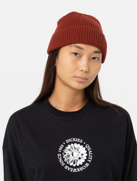 Produktbild Dickies Woodworth Beanie