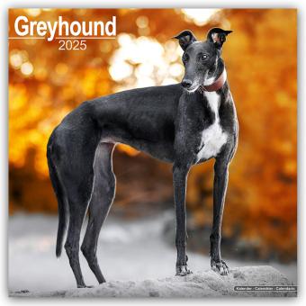 Actual product image Avonside Publishing Ltd:Greyhound - Gro (305 x 305 mm, German)