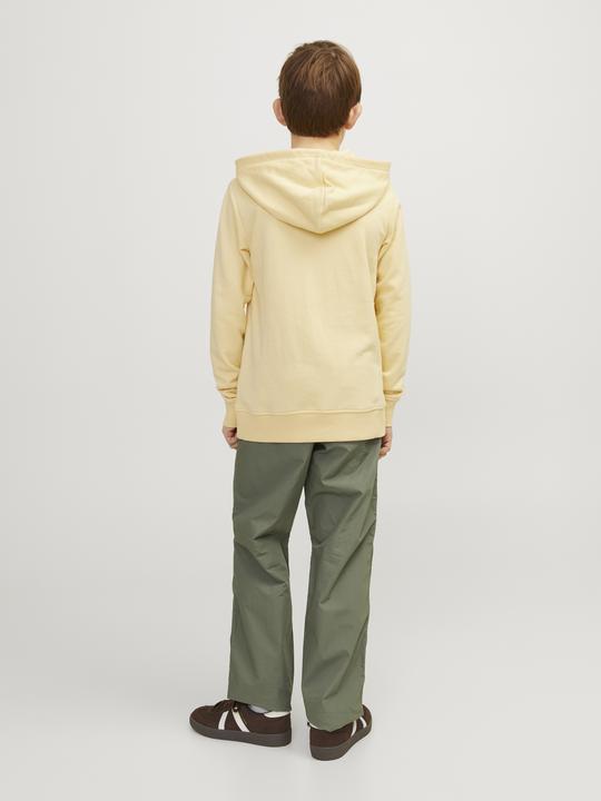 Produktbild Jack & Jones Jorcobin Sweat Hood Jnr (164)