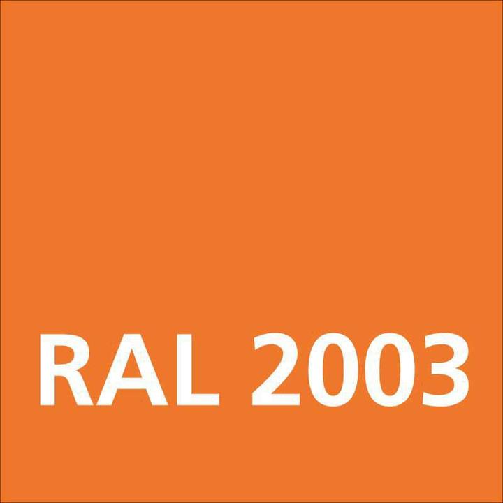 Image du produit Dupli-Color Peinture acrylique brillant RAL 2003 orangé pastel (Orange pastel, 0.40 l)