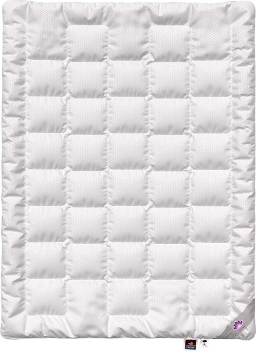 Produktbild Lotus Bettwaren Outlast Duvet (1200 g, 160 x 210 cm)