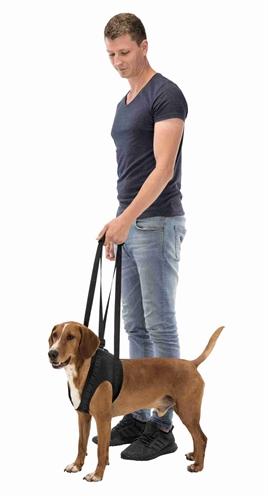 Produktbild Trixie Gehhilfe (Hund)