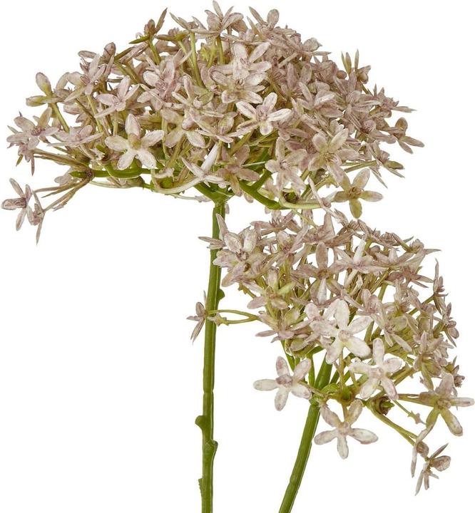 Image du produit Hill Interiors - Fleur artificielle (71 cm)