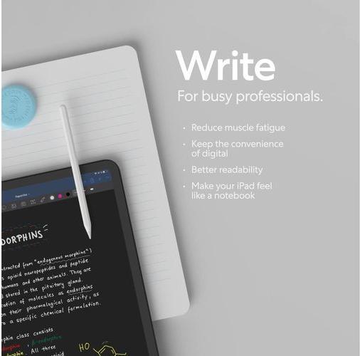 Productafbeelding Paperlike Schermbeschermer (2 Stuk, iPad Pro 11 2024 (5e gen))