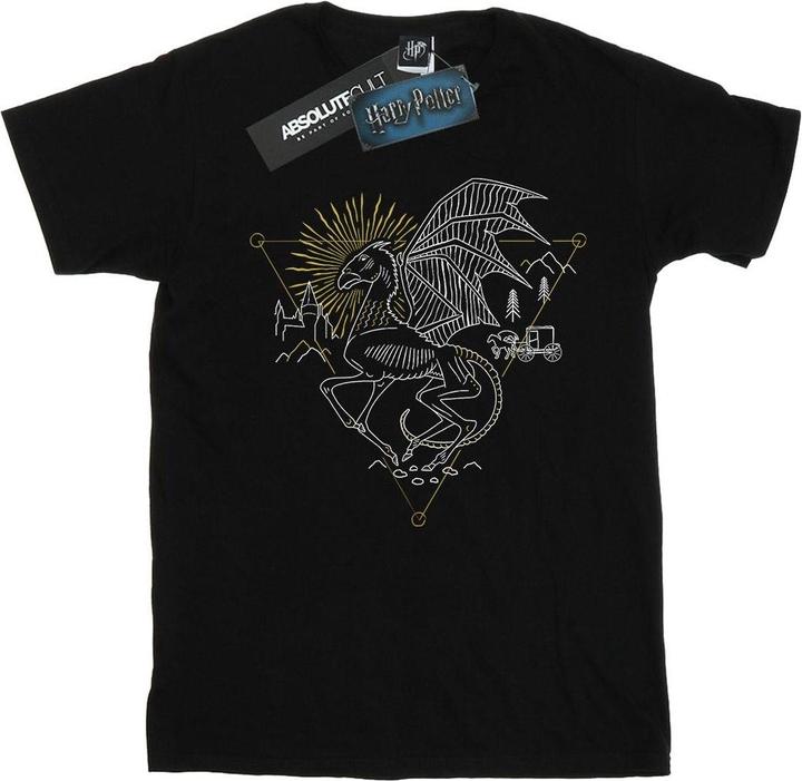 Image du produit - T-shirt THESTRAL LINE ART - Fille (128)