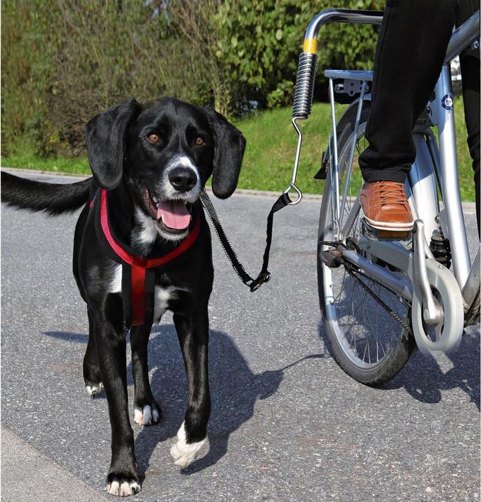 Actual product image Trixie Biker set (Dog, Reflectors)