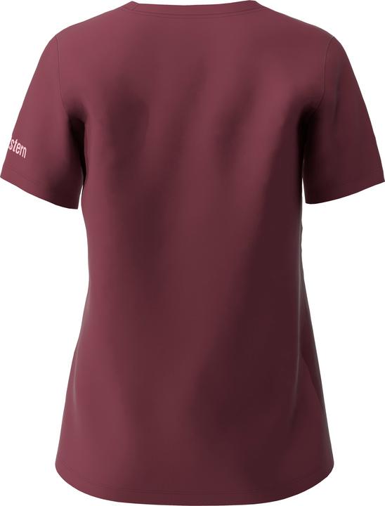 Actual product image Zimtstern Stellaz (L)
