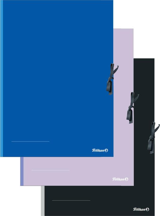 Image du produit Pelikan Classeur couleur FSC (A2, 1 x)