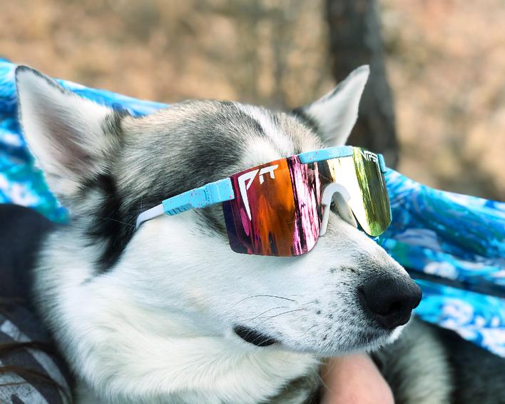 Produktbild Pit Viper The Gobby Polarized (Light Blue, Blue)