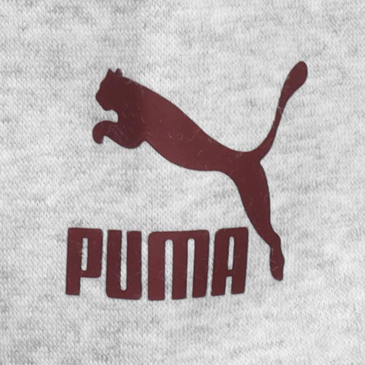 Image du produit Puma Sweat à capuche d'équipe FL (S)