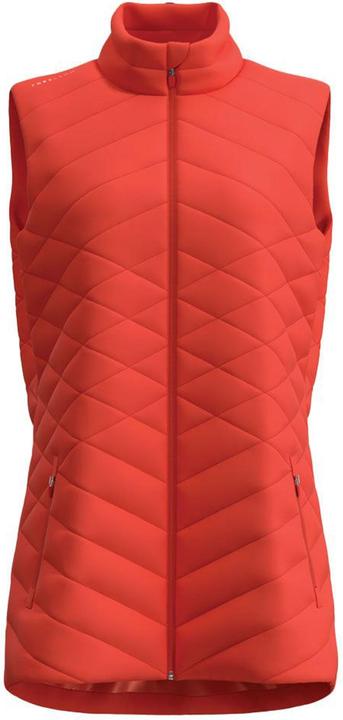 Actual product image Forelson Womens/Ladies Burford Gilet (L)