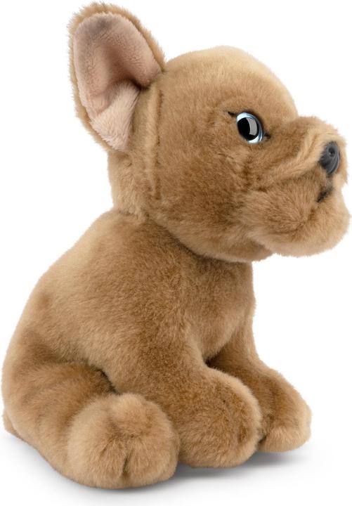 Actual product image Living Nature Französische Bulldogge Welpe beige (17 cm)