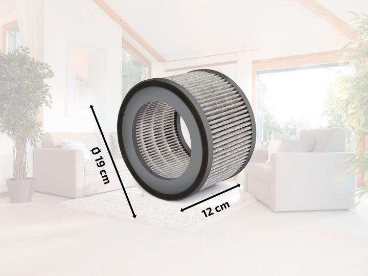 Actual product image Soehnle Ersatzfilter Luftreiniger Airfresh Clean 400 (1 x)