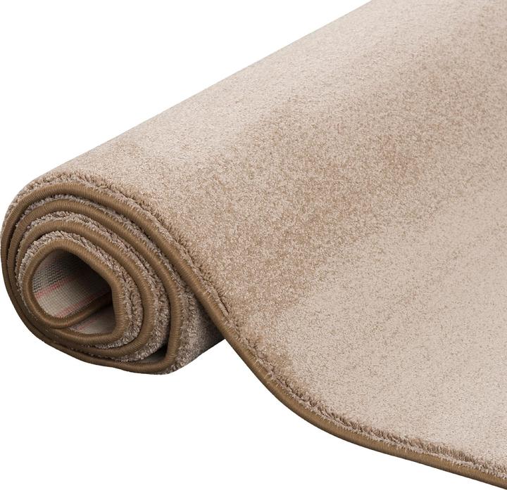 Produktbild Snapstyle Hochflor Luxus Velours Teppich Touch (200 x 250 cm)