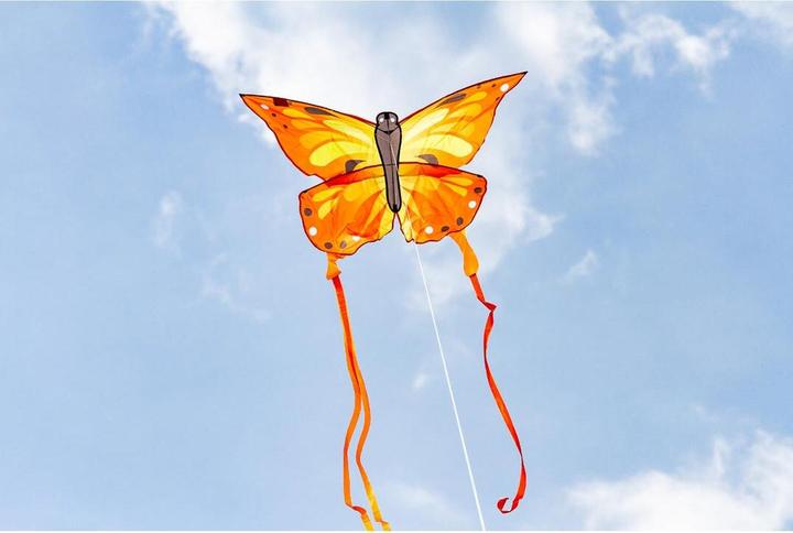 Actual product image Invento Kite Ecoline BK Sunrise Butterfly Kite, 120x95 cm, 5 y., handle and 25 m line