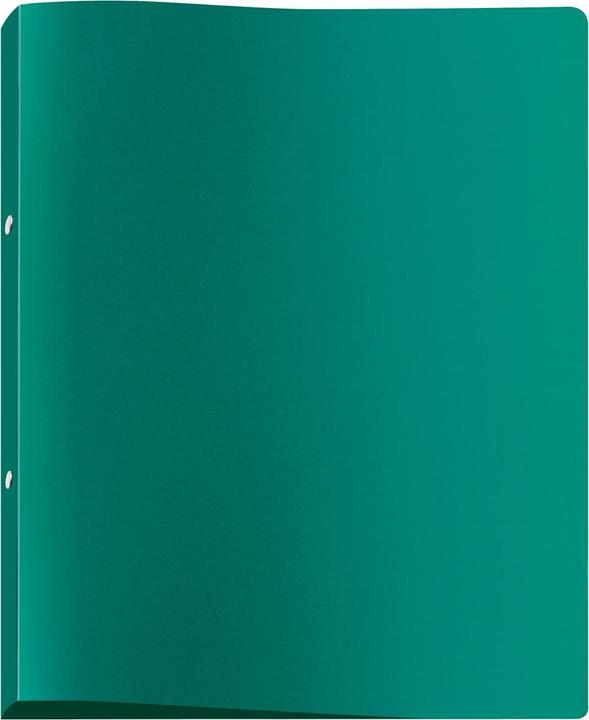 Immagine prodotto Viquel Raccoglitore ad anelli a 2 anelli verde 2,5 cm DIN A4 (A4, 25 mm, 1 Pezzo/i)