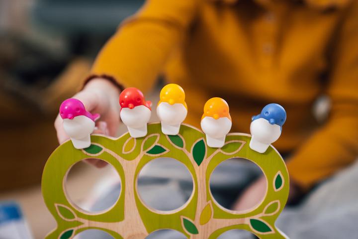 Actual product image Smart Games 5 Little Birds (mult) (German, French, Italian)