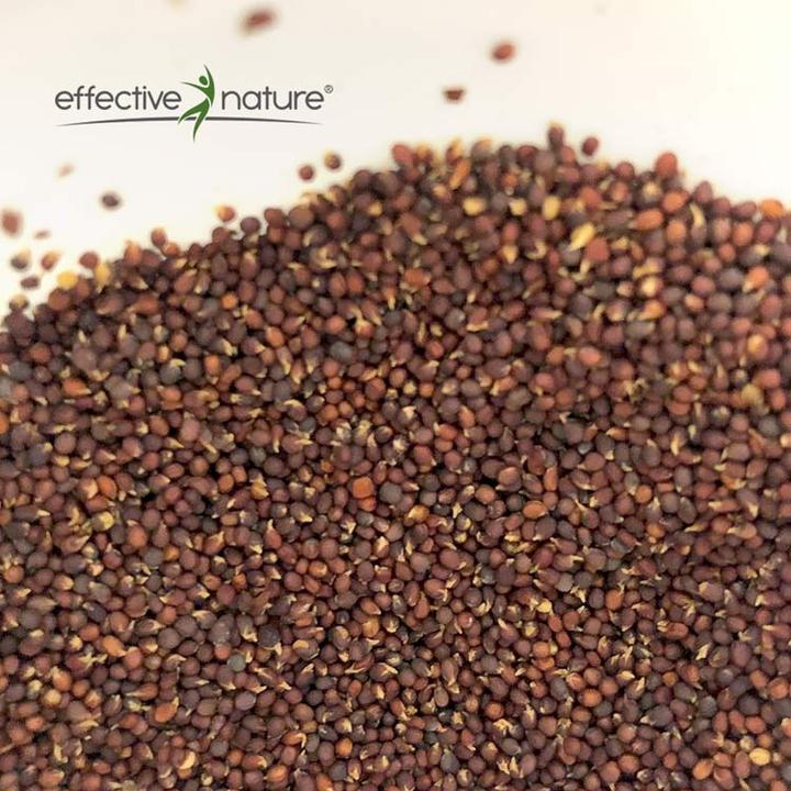 Produktbild Effective Nature Gekeimte Brokkolisamen