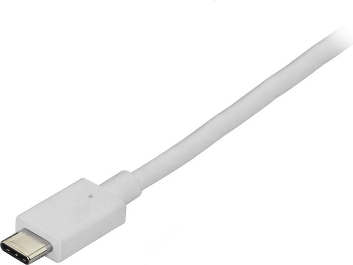 Actual product image StarTech USB Typ C — DisplayPort (1.80 m, DisplayPort, USB Type C)
