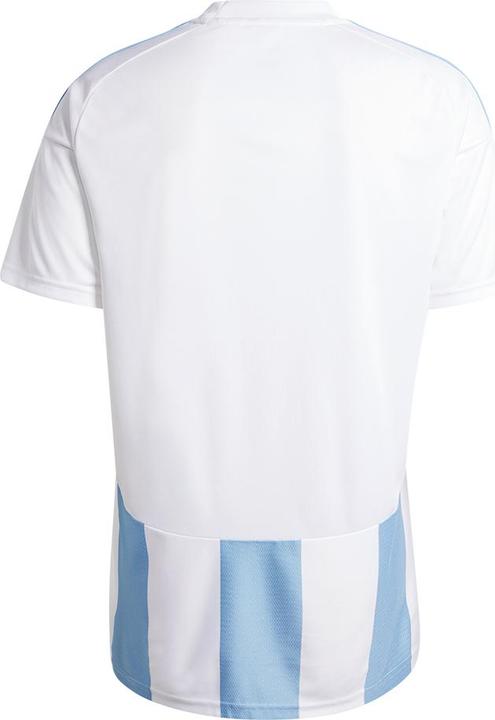 Actual product image adidas Striped 24 Jersey (S)